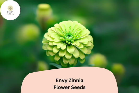 100+ Envy Zinnia Seeds – Unique Green Blooms for Summer Gardens & Cut Flowers