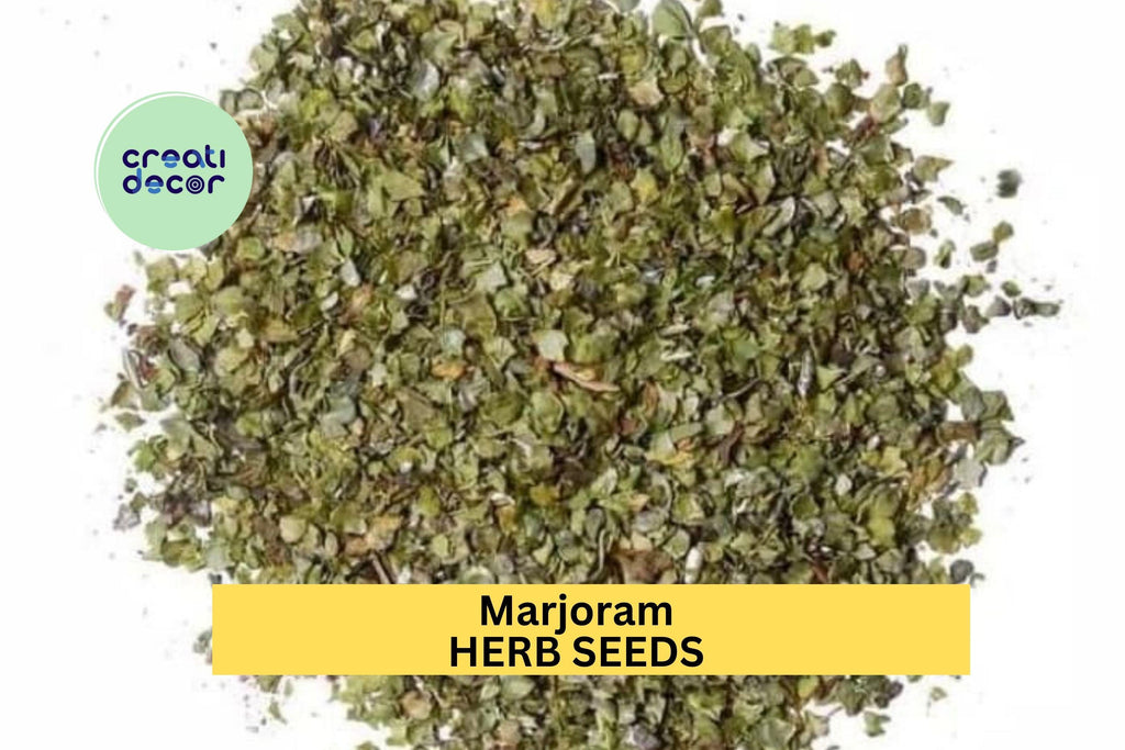 3pcs of 100mg Marjoram Seeds – Sweet Aromatic Herb for Culinary Use, Container Gardening, and Home Herb Gardens Seeds for Planting