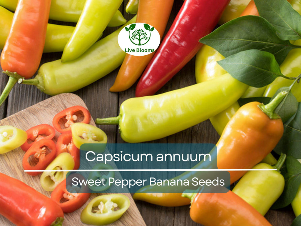 30 Seeds Sweet Pepper Banana (Capsicum annuum) – Mild, Fruity Banana Pepper for Planting, Ideal for Salads, Salsas & Pickling