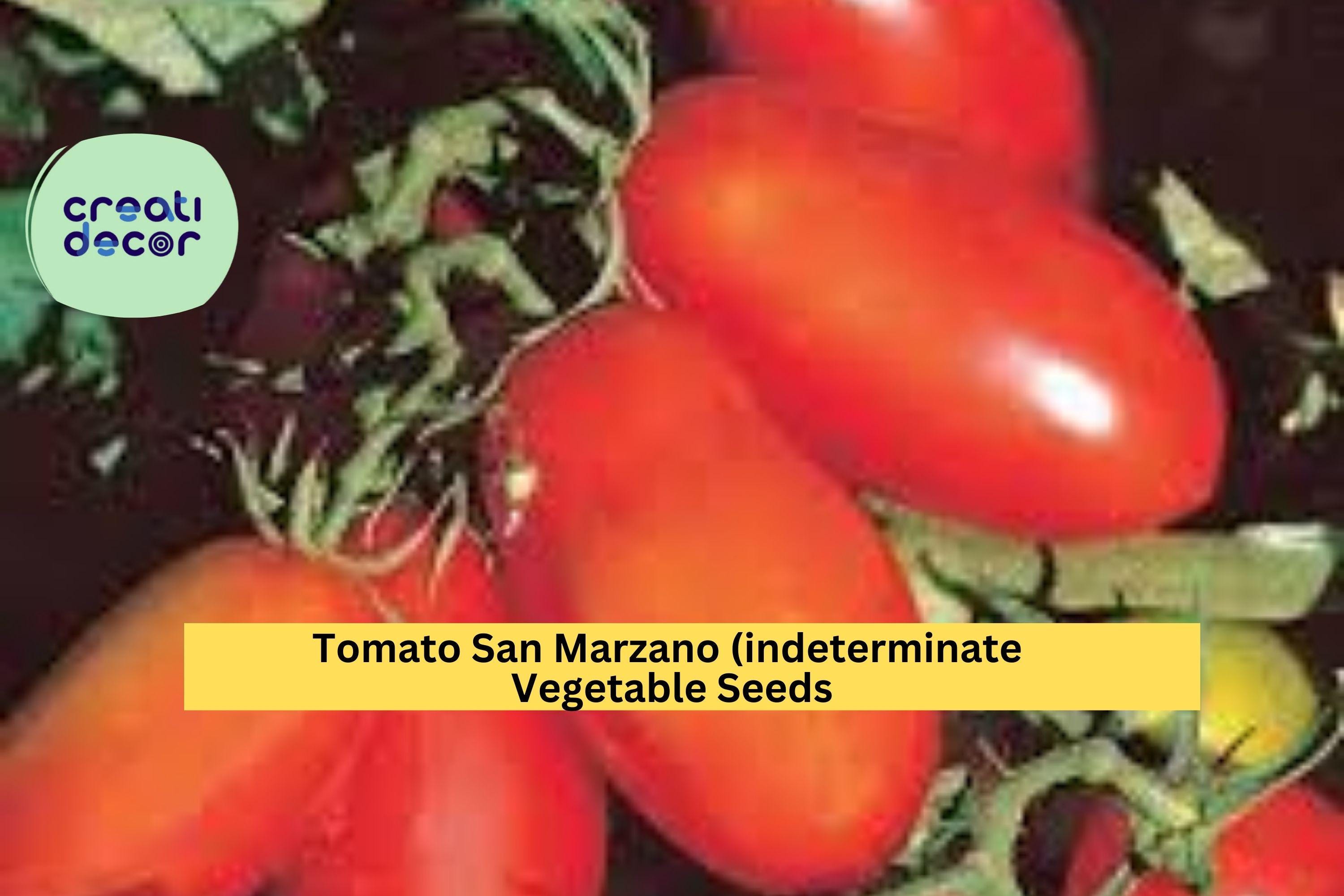 3pcs of 100mg San Marzano Tomato Seeds – Classic Italian Sauce Tomatoes for Home Garden, Indeterminate Variety Seeds for Planting