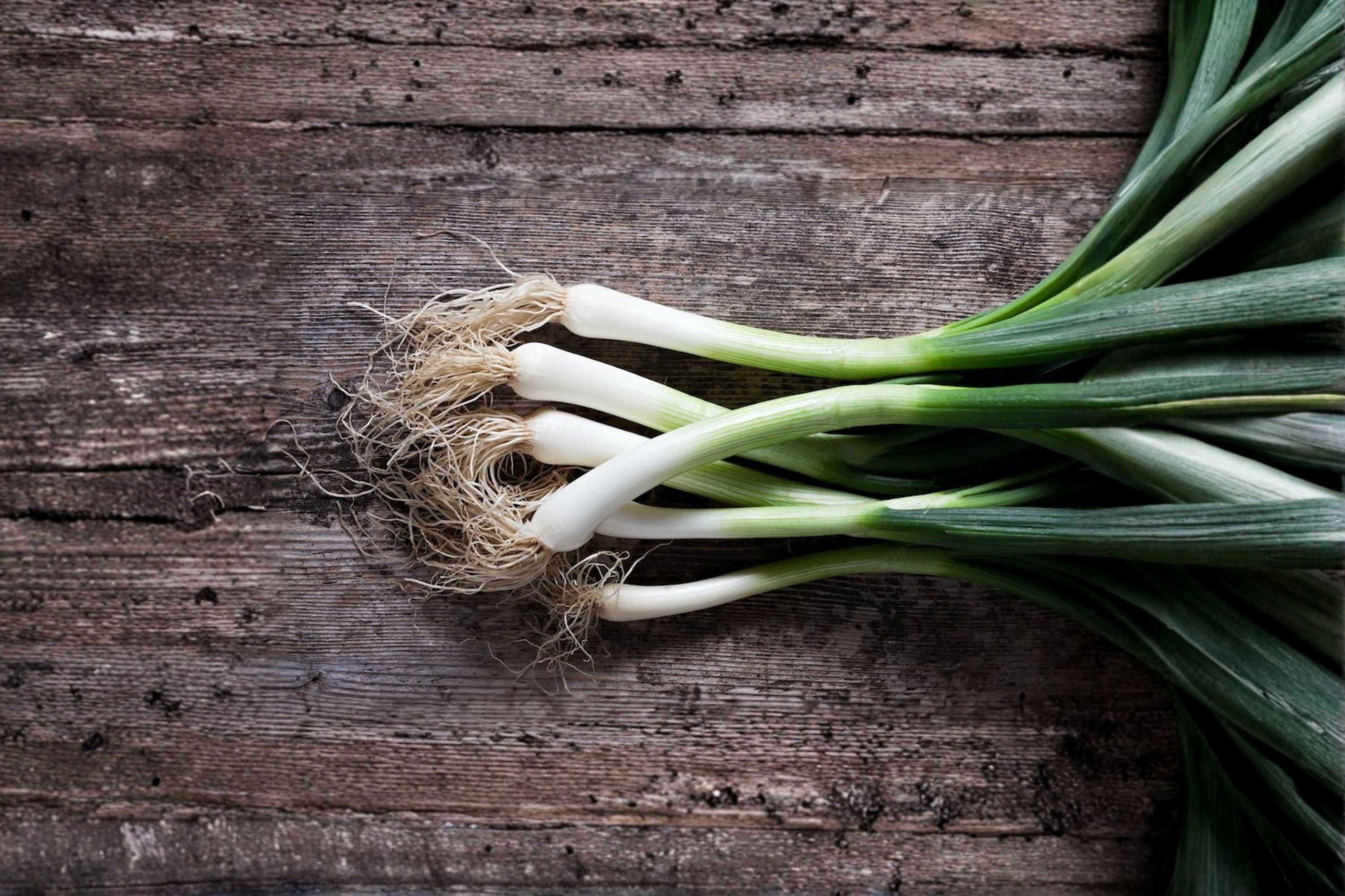 Evergreen Bunching Onion – Allium fistulosum 50 Seeds | Non-Bulbing Green Onion | Cold Hardy | Easy Home Garden Vegetable