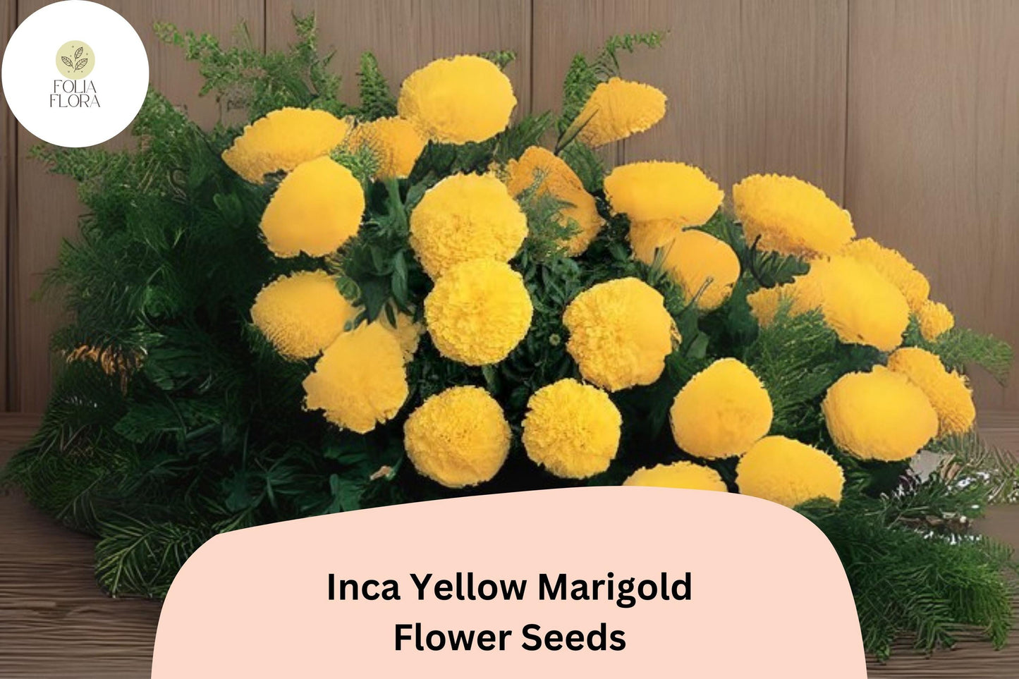 25+ Inca Yellow Marigold Seeds | Tagetes erecta | Bright Yellow Blooms | Easy Annual Flower for Garden Beds & Containers