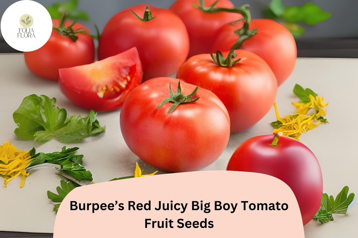 50+ Big Boy Tomato Seeds | Burpee’s Juicy Red Heirloom Variety | Large Sweet Tomatoes for Home Vegetable Garden Planting
