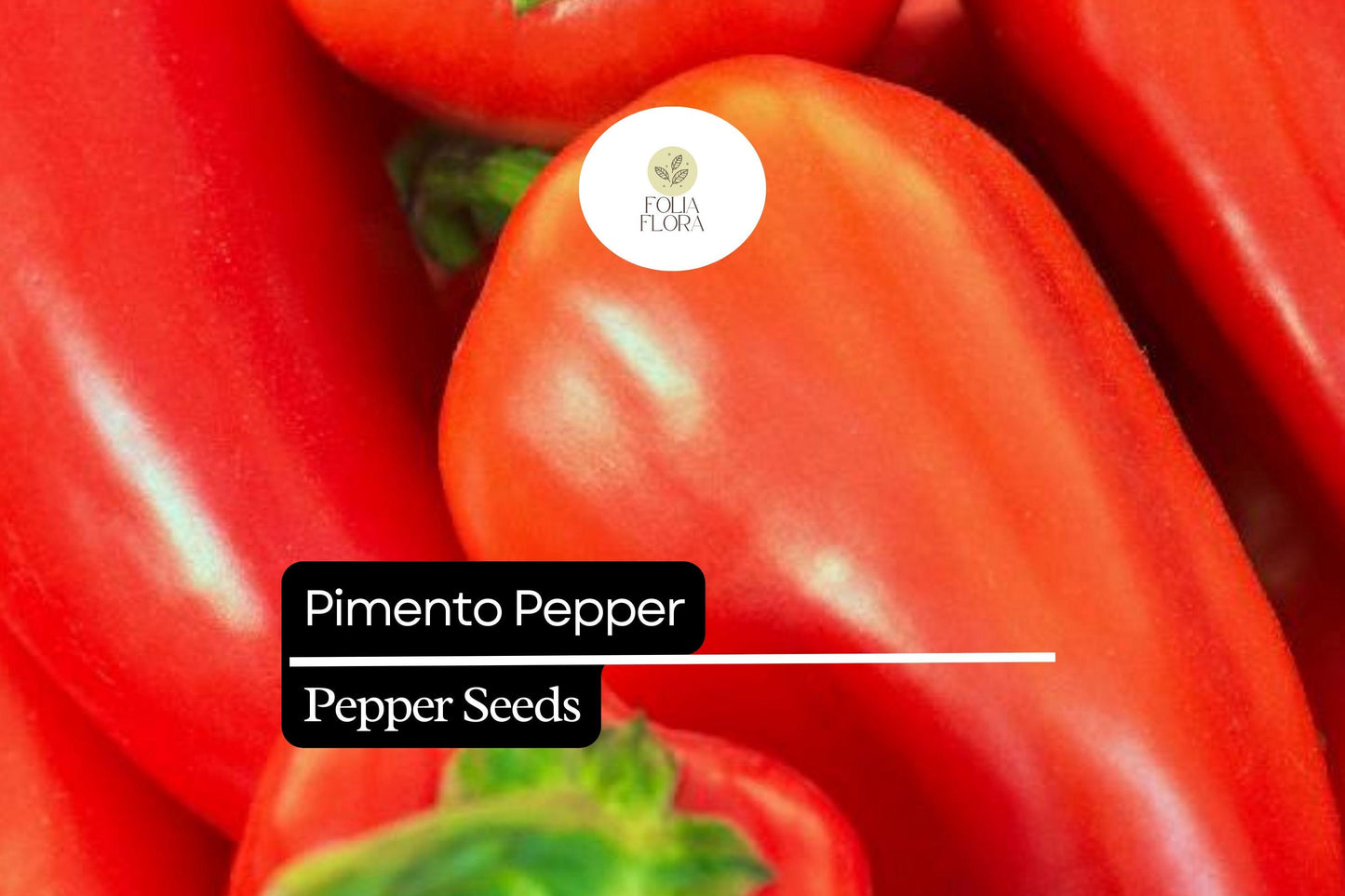 25 Seeds Pimento Pepper (Capsicum annuum) – Sweet and Mild Heirloom Variety for Fresh Eating and Preserving