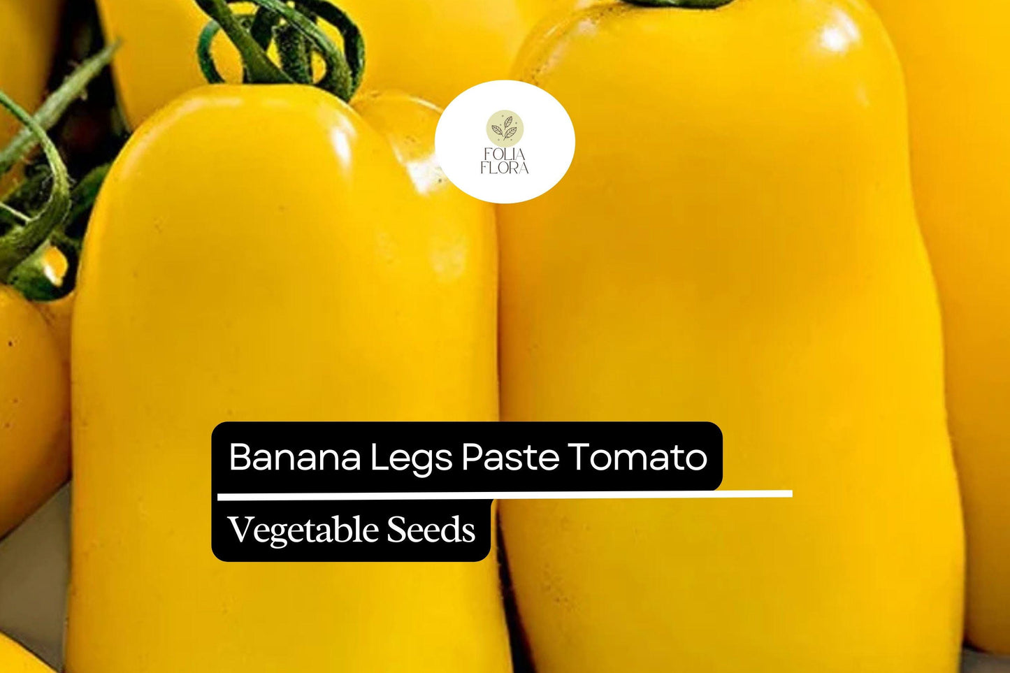 30 Banana Legs Tomato Seeds – Solanum lycopersicum – Heirloom, Yellow Paste Tomato, Mild & Meaty, Perfect for Sauces