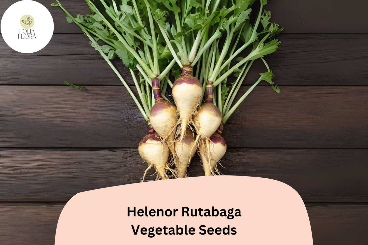 500+ Helenor Rutabaga Seeds – Heirloom Brassica Root Vegetable Seeds for Garden Planting