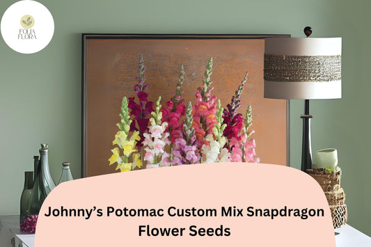 Antirrhinum majus Johnny's Potomac Custom Mix Snapdragon Seeds – 1000+ Premium Seeds for Vibrant Garden Blooms