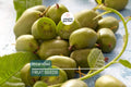 50 Issai Kiwi Seeds (Actinidia arguta) – Cold Hardy Arctic Grape Kiwi, Fast-Growing Superfruit Vine