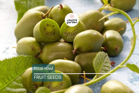 50 Issai Kiwi Seeds (Actinidia arguta) – Cold Hardy Arctic Grape Kiwi, Fast-Growing Superfruit Vine