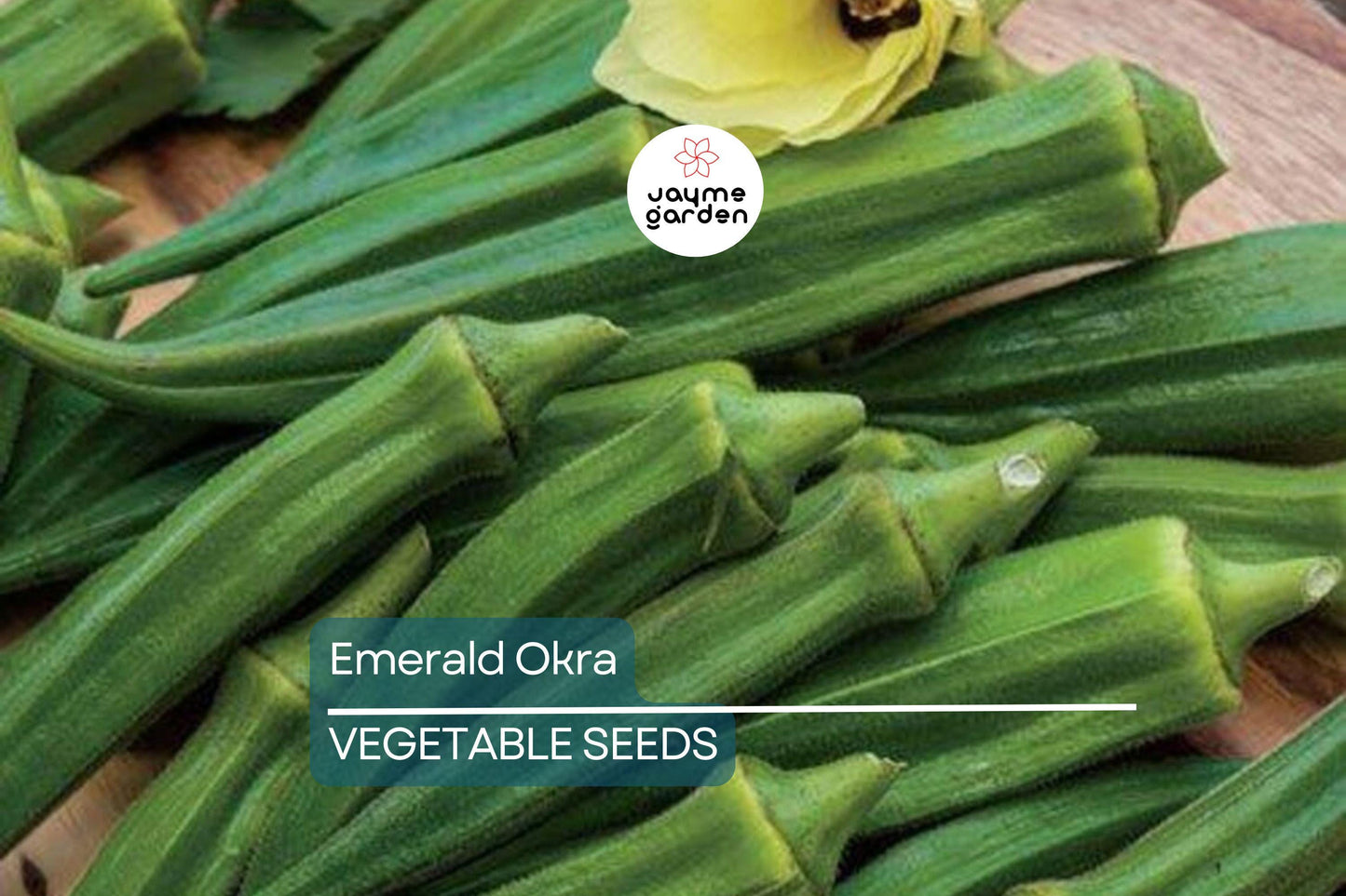 100 Emerald Okra Seeds – Heirloom, Non-GMO, Tender Green Pods, Fast-Growing, High-Yield, Drought-Tolerant, USA Seller, Free Shipping!