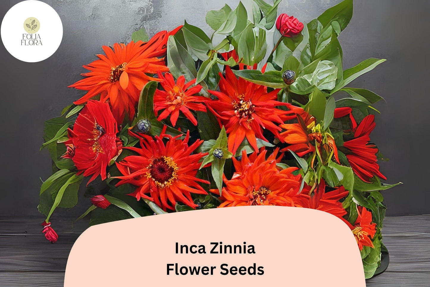 100+ Inca Zinnia Seeds – Bold Golden-Orange Blooms for Summer Garden & Cut Flowers