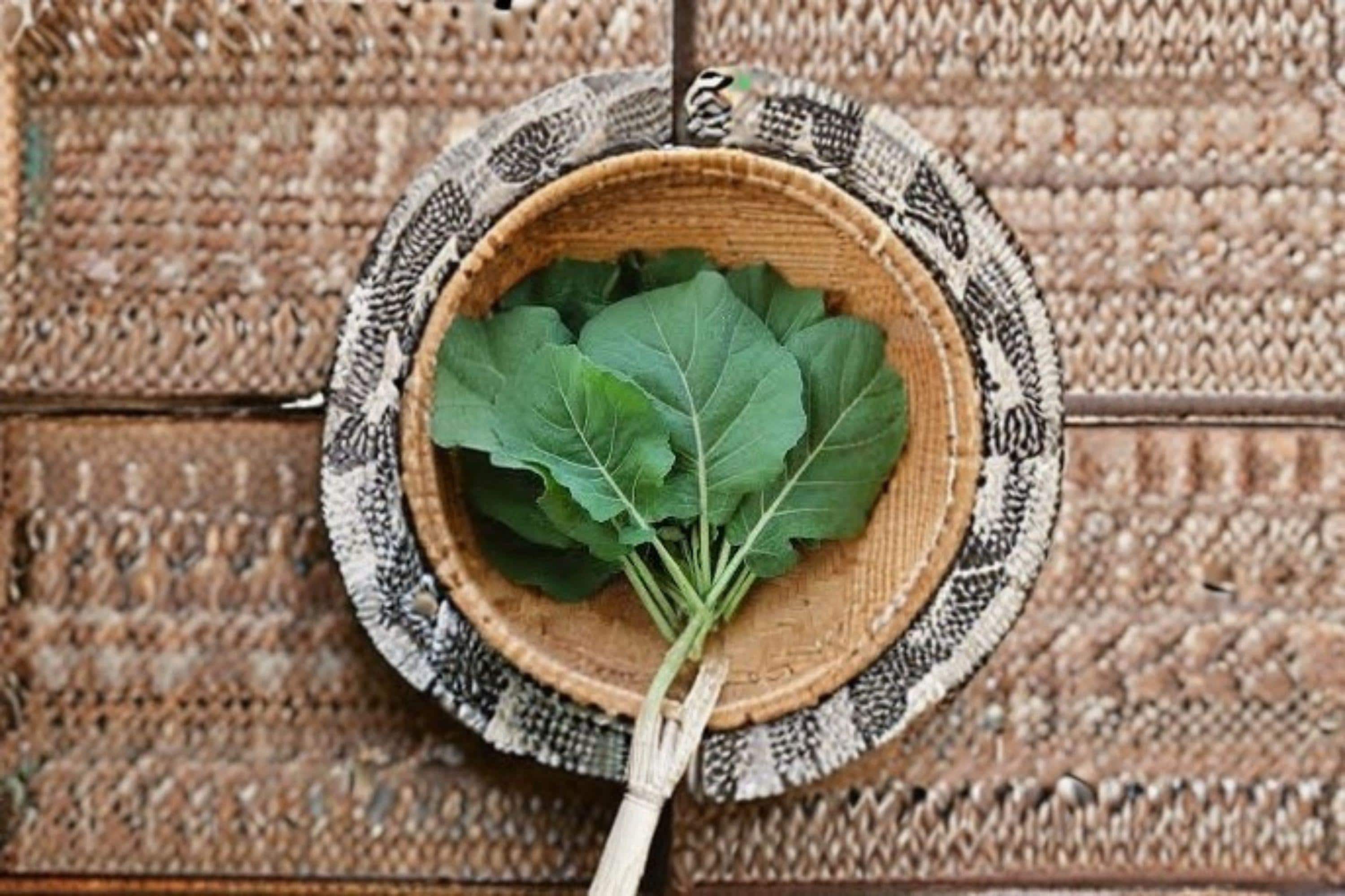Collards – Champion 300 Seeds | Heirloom Southern Green | Cold & Heat Tolerant | Large Tender Leaves