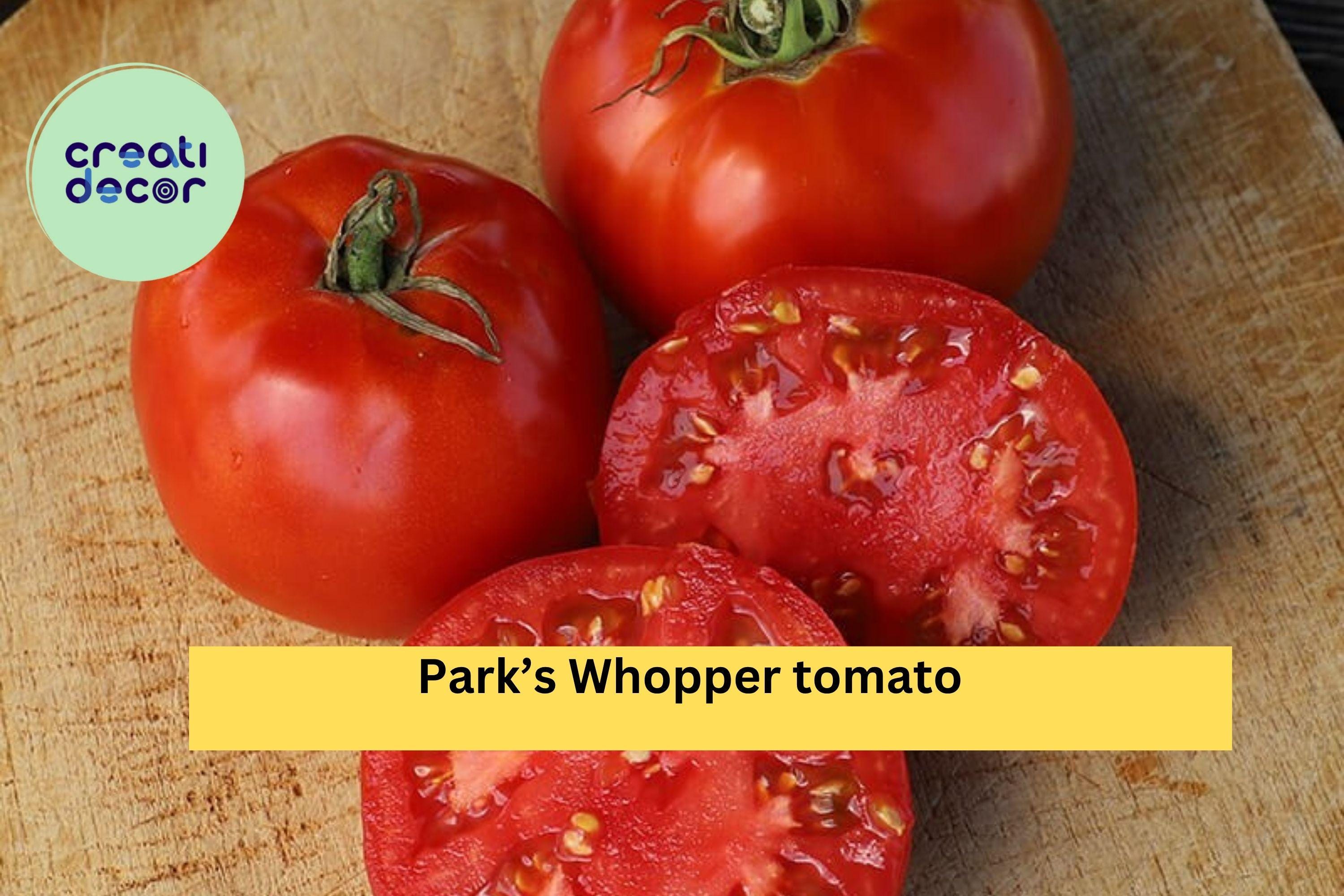 Park’s Whopper Tomato Live Plants – 2 Pack, 6–10 Inches Tall Hybrid Tomatoes, High-Yield Red Fruit Vegetable Garden Plants Zones 4–10