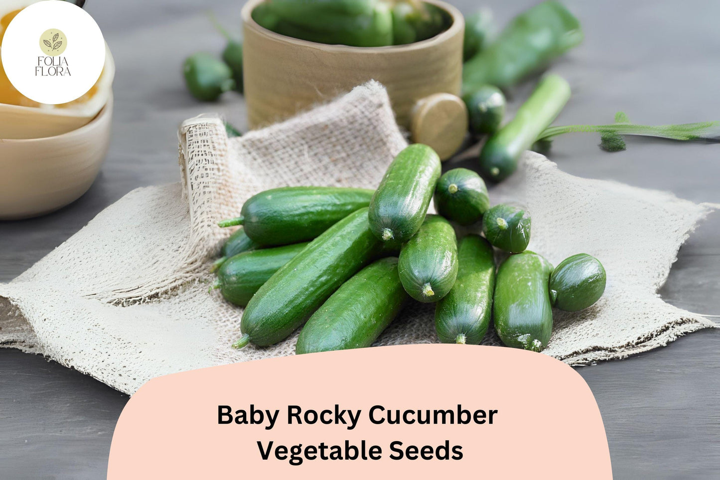 25+ Baby Rocky Cucumber Seeds for Planting | Mini Crisp Cucumbers | Fast Growing Garden Veggie | Rare Compact Variety