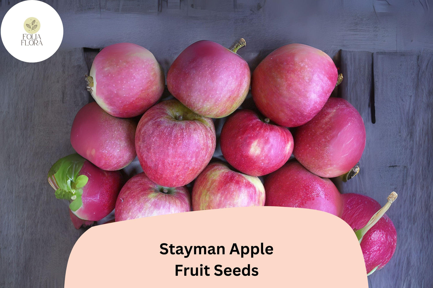 25+ Stayman Apple Seeds | Malus domestica | Heirloom Tart-Sweet Apple Variety | Fruit Tree Seeds for Orchard & Garden