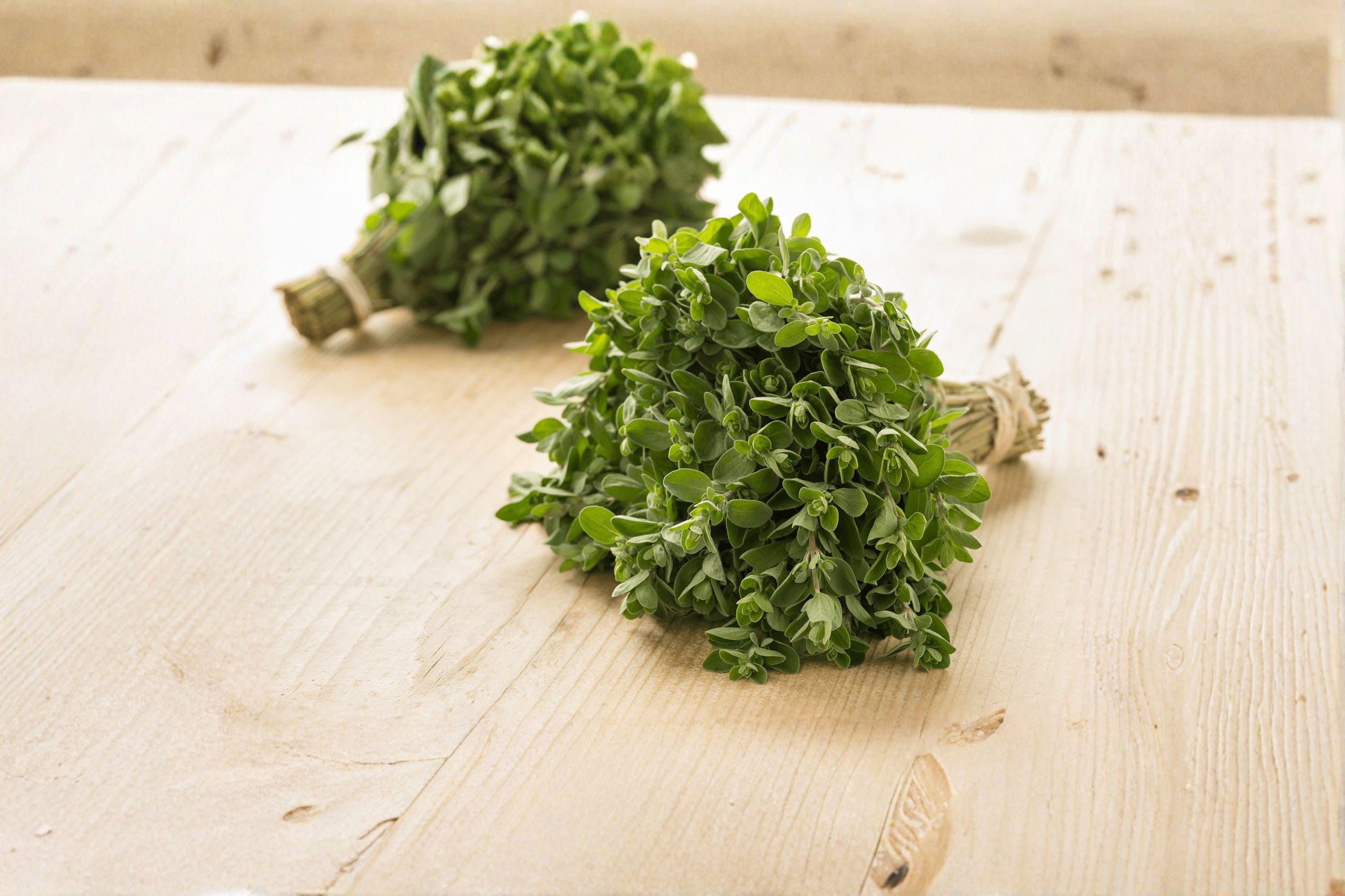 Marjoram 400 Seeds | Aromatic Culinary Herb | Mild Sweet Flavor | Easy to Grow