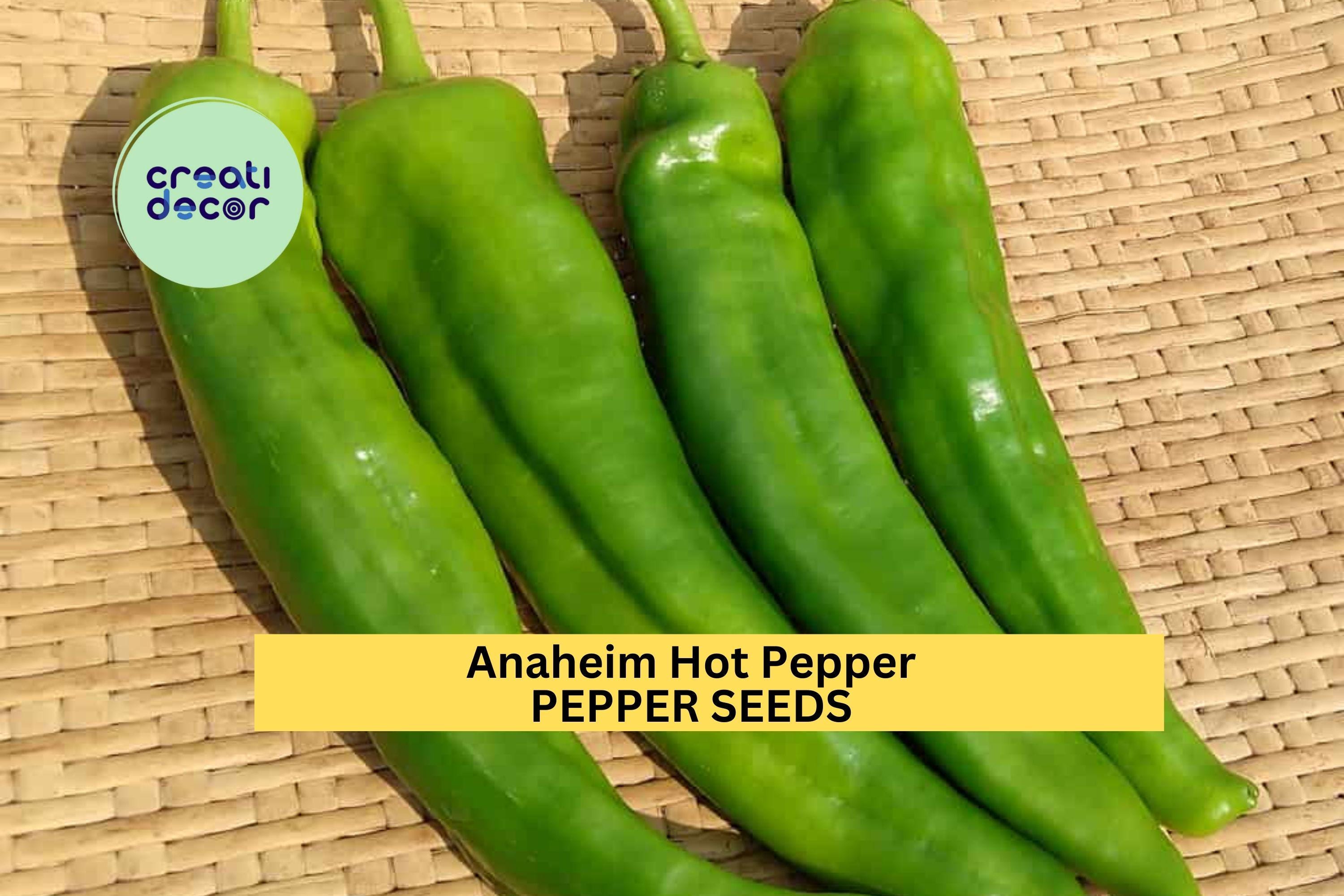 3pcs of 300mg Anaheim Hot Pepper Seeds – Mild Chili Peppers for Roasting, Salsa, and Home Vegetable Garden Growing Seeds for Planting