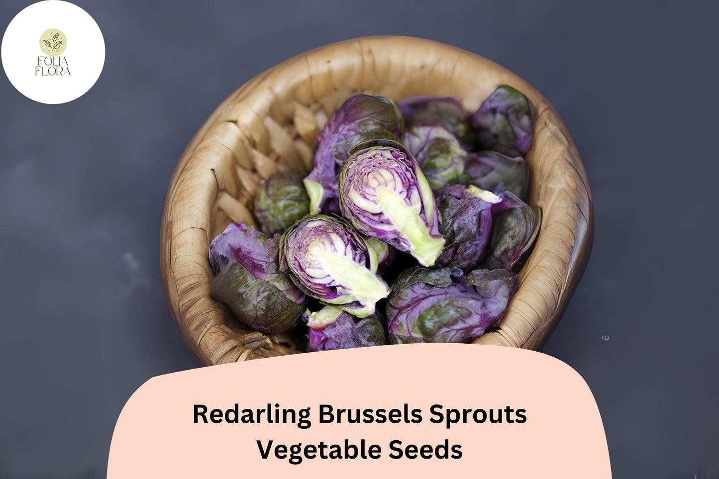 500+ Redarling Brussels Sprouts Seeds | Brassica oleracea | Red-Stem Hybrid Sprout Variety | Bulk Garden Seeds