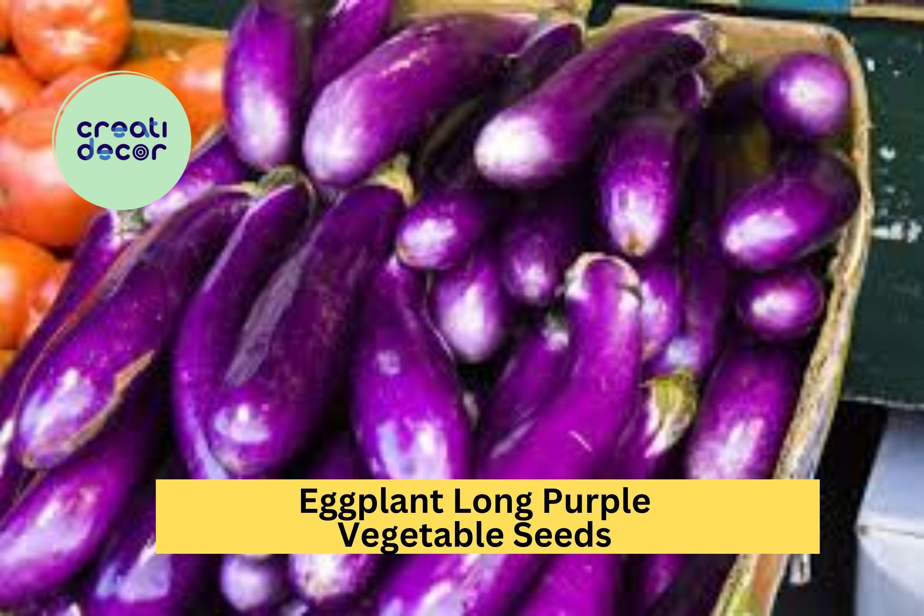 3pcs of 300mg Long Purple Eggplant Seeds – Slim, Tender Heirloom Variety for Grilling, Stir-Fries, and Summer Garden Harvests