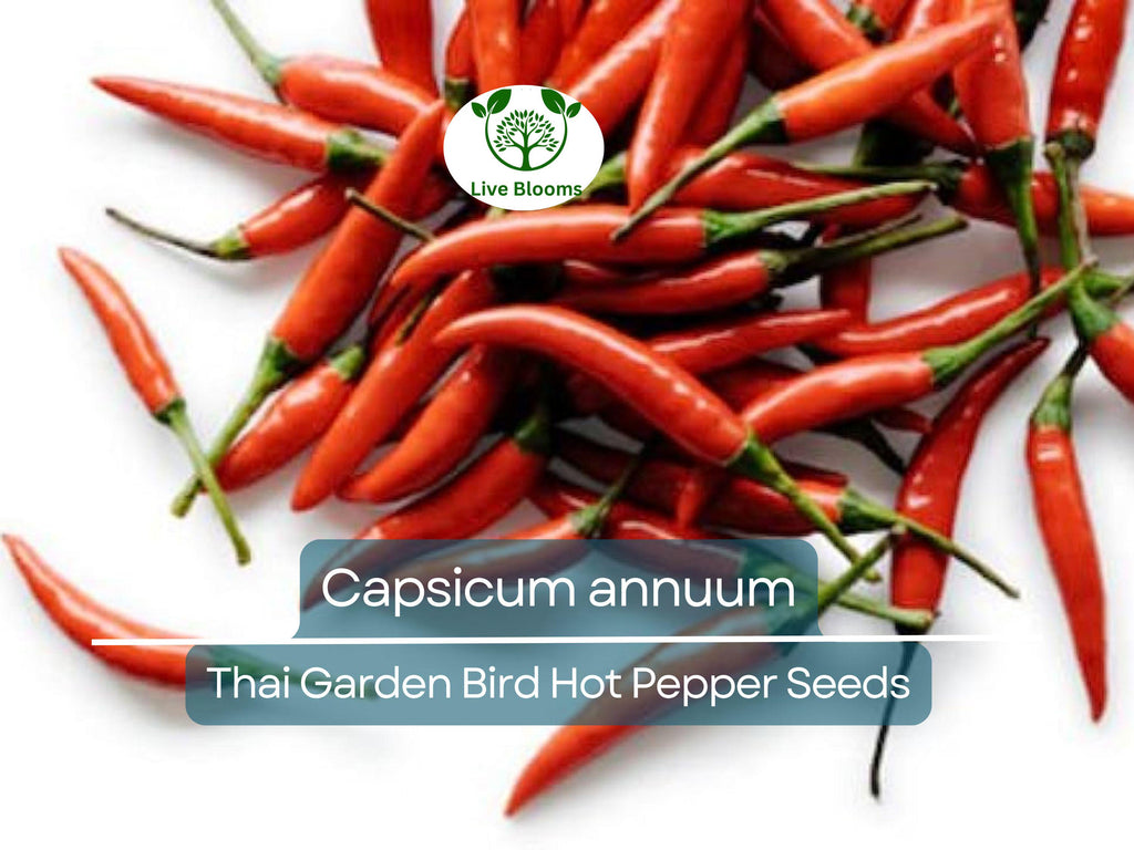 30 Seeds Thai Garden Bird Hot Pepper (Capsicum annuum) – Small, Fiery Thai Chili for Planting, Ideal for Stir-Fries, Sauces & Salsas