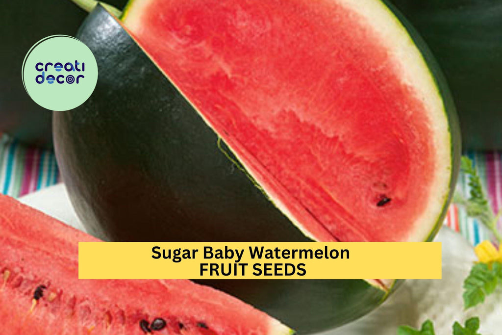 3pcs of 1g Sugar Baby Watermelon Seeds – Small Sweet Red Flesh Melon, Fast Growing, Compact Vine for Small Gardens Seeds for Planting