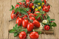 Tomato – Roma 30 Seeds | Classic Paste Tomato | Meaty Flesh | Ideal for Sauces & Canning