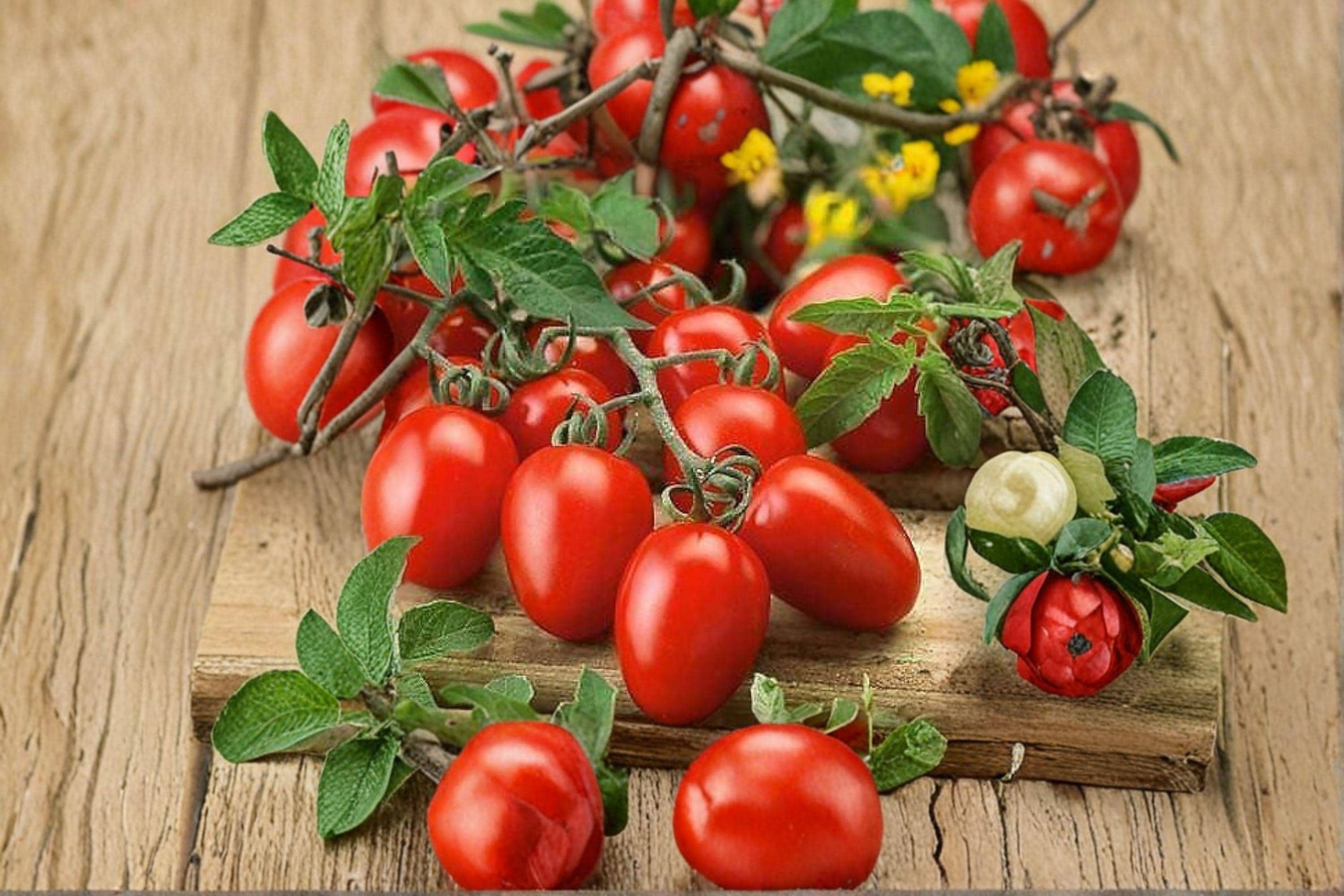 Tomato – Roma 30 Seeds | Classic Paste Tomato | Meaty Flesh | Ideal for Sauces & Canning