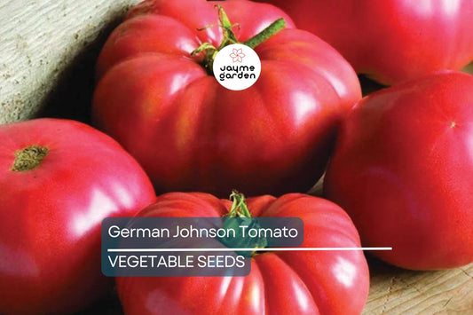 100 German Johnson Tomato Seeds - Non-GMO Heirloom | Large Pink, Low Acid, Crack-Resistant | Indeterminate | Free Shipping