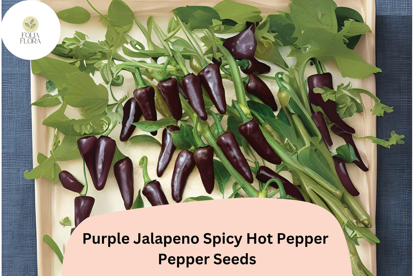 25+ Purple Jalapeño Seeds | Spicy Hot Pepper | Unique Dark Color | Non-GMO Garden Planting