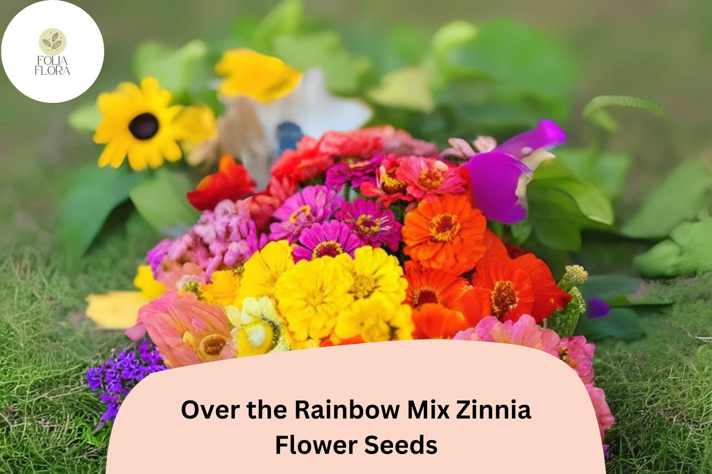 Over the Rainbow Mix Zinnia Seeds – 100+ Colorful Annual Garden Flowers for Easy Planting