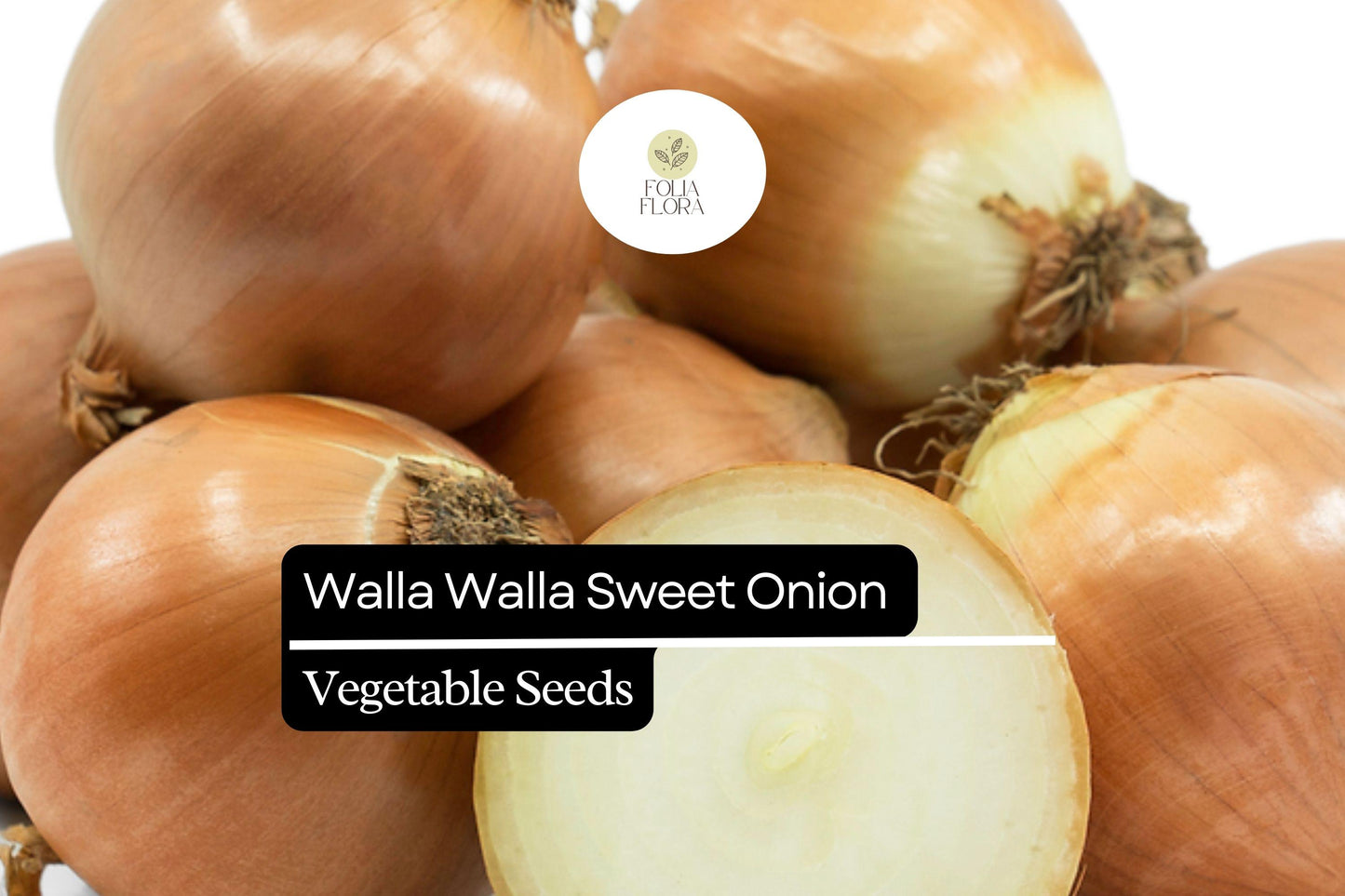 100 Seeds Walla Walla Sweet Onion – Allium cepa, Large Mild Onions, Garden Favorite