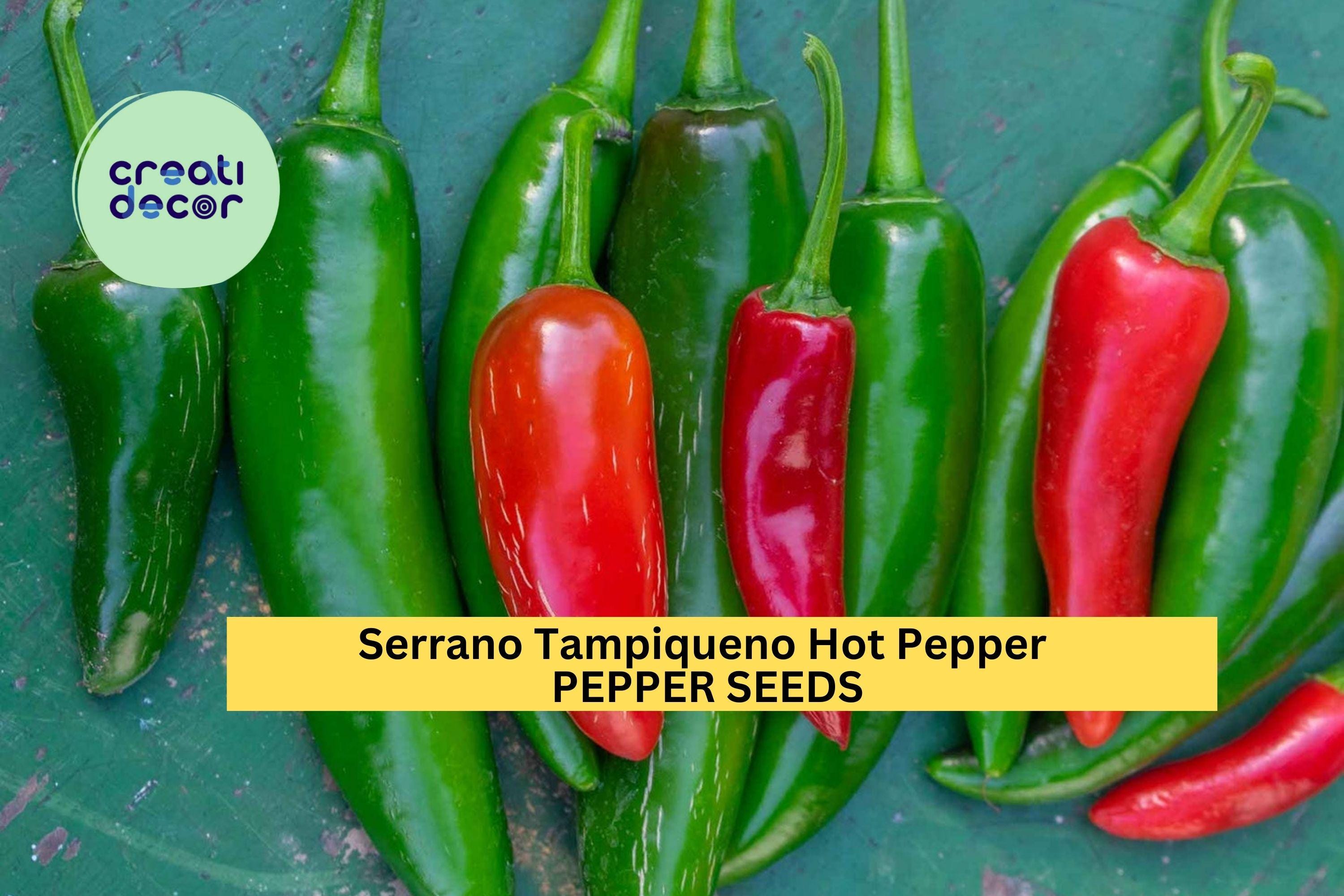 3pcs of 250mg Serrano Tampiqueno Hot Pepper Seeds – Spicy, Productive Variety for Salsa & Cooking – Heirloom Garden Seeds for Planting