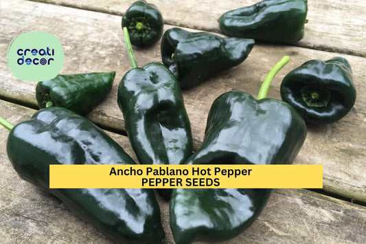 3pcs of 250mg Ancho Poblano Hot Pepper Seeds – Mild Chili for Roasting, Drying, or Salsas – Garden Vegetable Seeds , Seeds for Planting