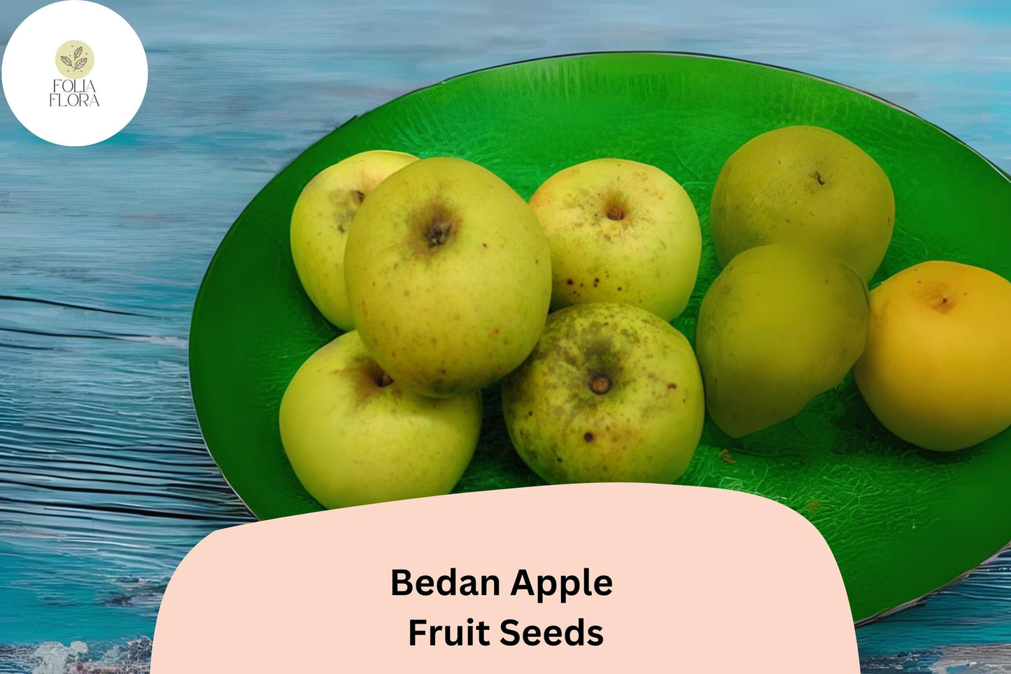 25+ Bedan Apple Seeds for Planting | Rare French Cider Apple Tree | Heirloom Sweet Sharp Fruit | Garden Orchard Seeds