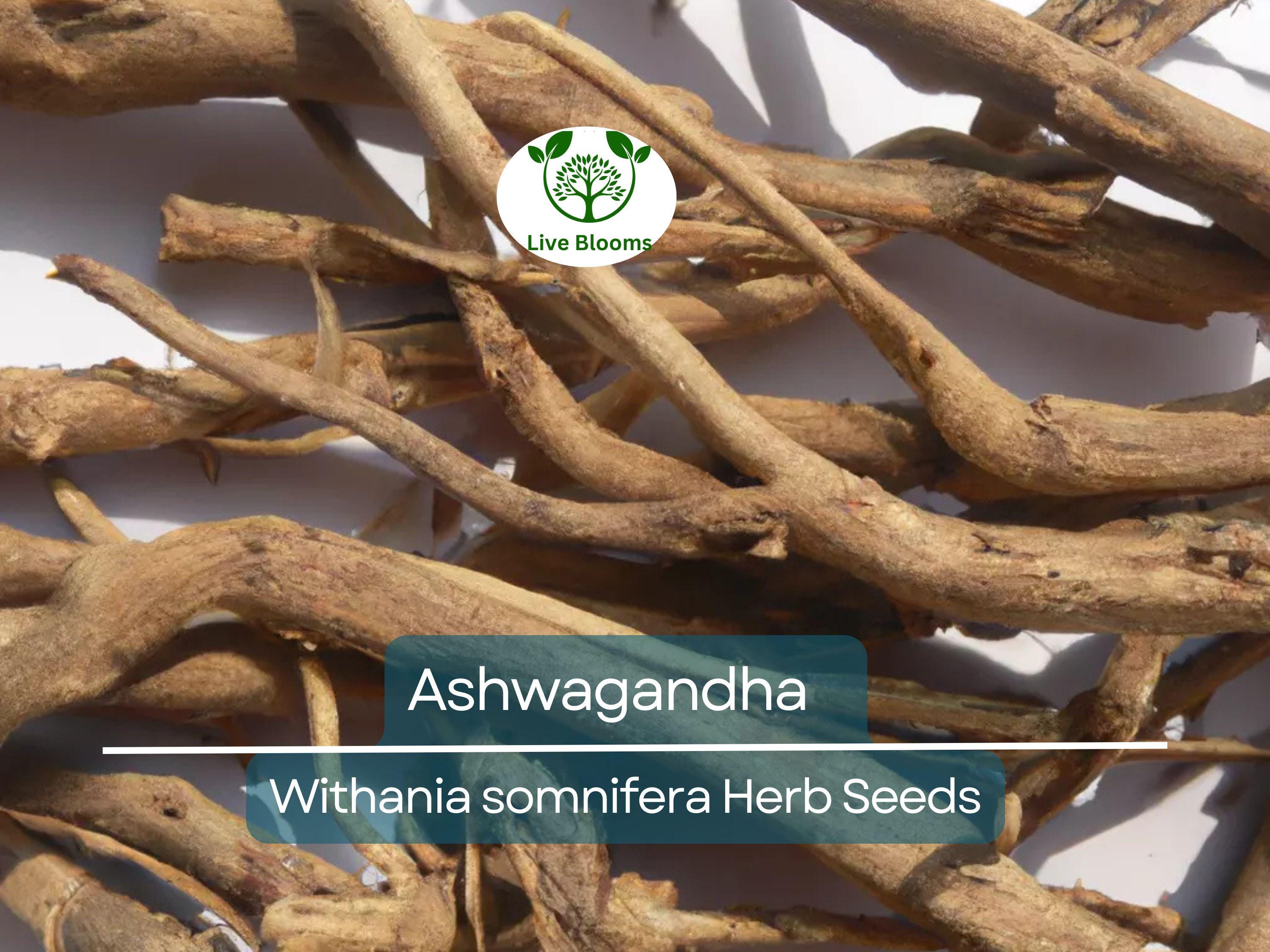 50 Ashwagandha Herb Seeds for planting | Withania somnifera (Indian Ginseng) - Grow Your Own Plant