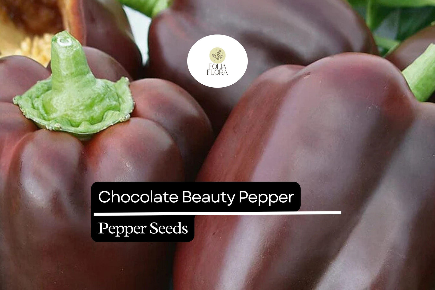 25 Chocolate Beauty Pepper Seeds – Capsicum annuum – Sweet Bell Pepper, Rich Chocolate Color, Non-GMO, Heirloom, Crisp & Juicy