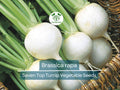 1000 mg Turnip Seven Top Seeds - Brassica rapa | Heirloom Leafy Green Turnip Seeds for Planting, Gardening & Fresh Greens Harvest