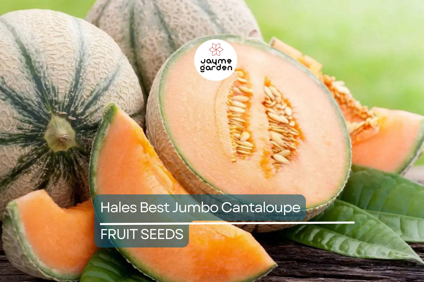 100 Hales Best Jumbo Cantaloupe Seeds - Heirloom, Non-GMO, Sweet & Juicy Melons