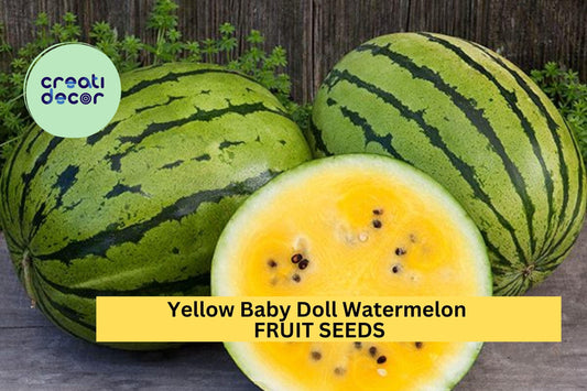 50+ Yellow Baby Doll Watermelon Seeds – Sweet Golden Flesh for Garden Planting, Compact Early Harvest Variety – USA
