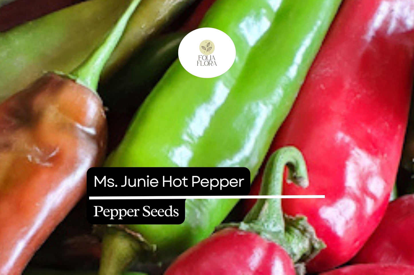 25 Hatch Ms. Junie Pepper Seeds – Capsicum annuum – Mild & Flavorful, High-Yielding, Perfect for Roasting