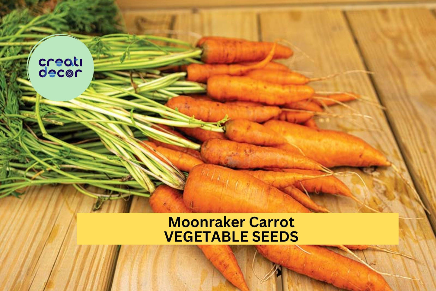 1000+ Moonraker Carrot Seeds – Tender White Roots for Garden Planting, Sweet Flavor & Smooth Texture, Ideal for Spring Crops – USA
