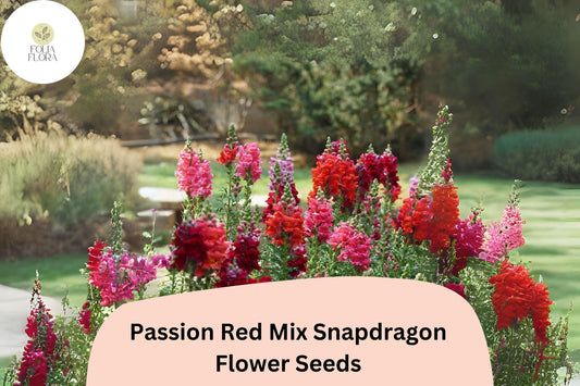Antirrhinum majus Passion Red Mix Snapdragon Seeds – 1000+ Bold Red Blooms for Garden & Cut Flowers