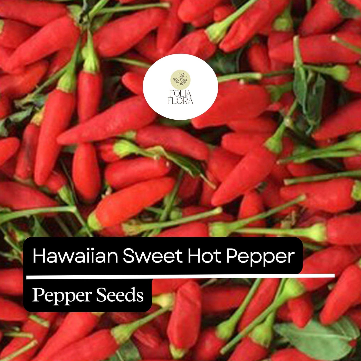 15 Hawaiian Sweet Hot Pepper Seeds – Heirloom, Spicy & Sweet, Non-GMO, High Yield