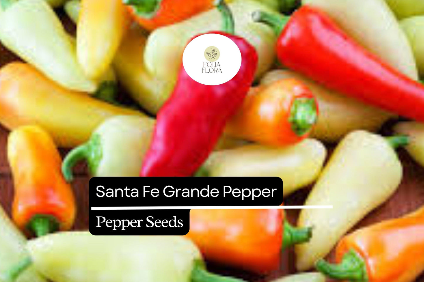 25 Santa Fe Grande Pepper Seeds – Capsicum annuum – Heirloom, Mildly Spicy, High-Yielding, Great for Salsas & Pickling, Non-GMO