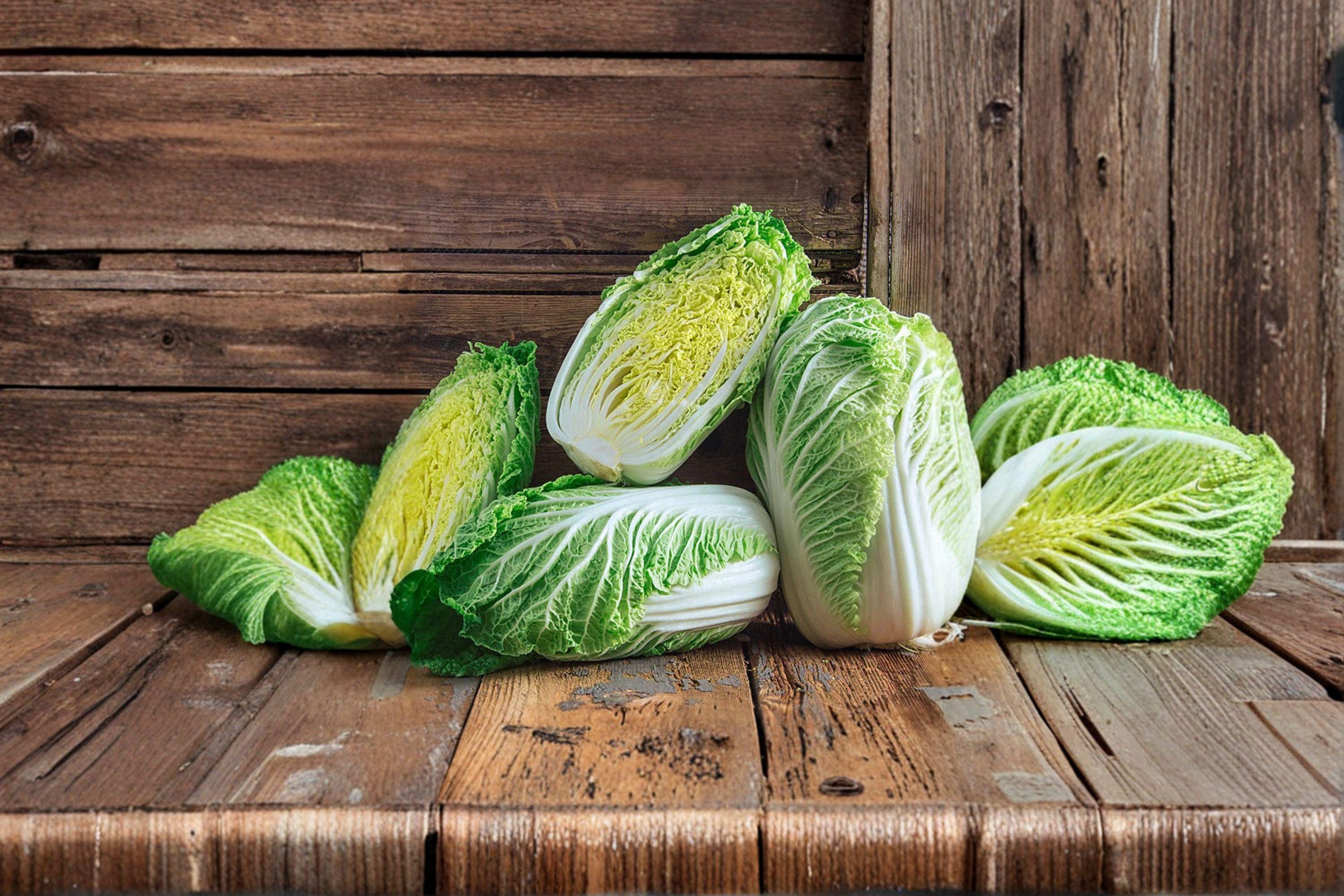 Chinese Cabbage – Matsushima 150 Seeds | Asian Napa-Type Cabbage | Uniform Heads | Crisp & Mild Flavor