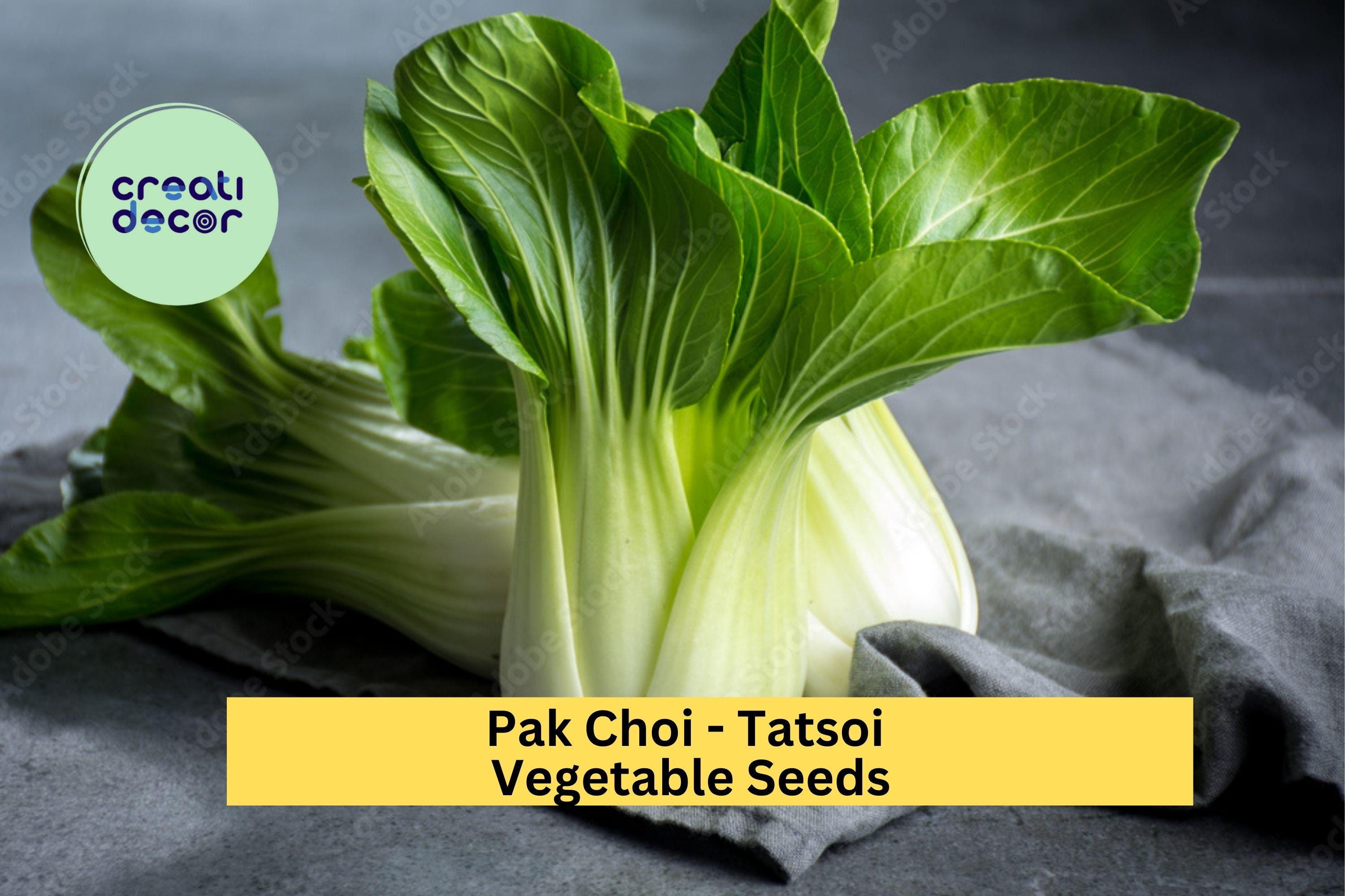 3pcs x 500mg Tatsoi Pak Choi Seeds – Asian Leafy Greens for Garden, Raised Beds, or Containers – Fast Growing Greens Seeds for Planting