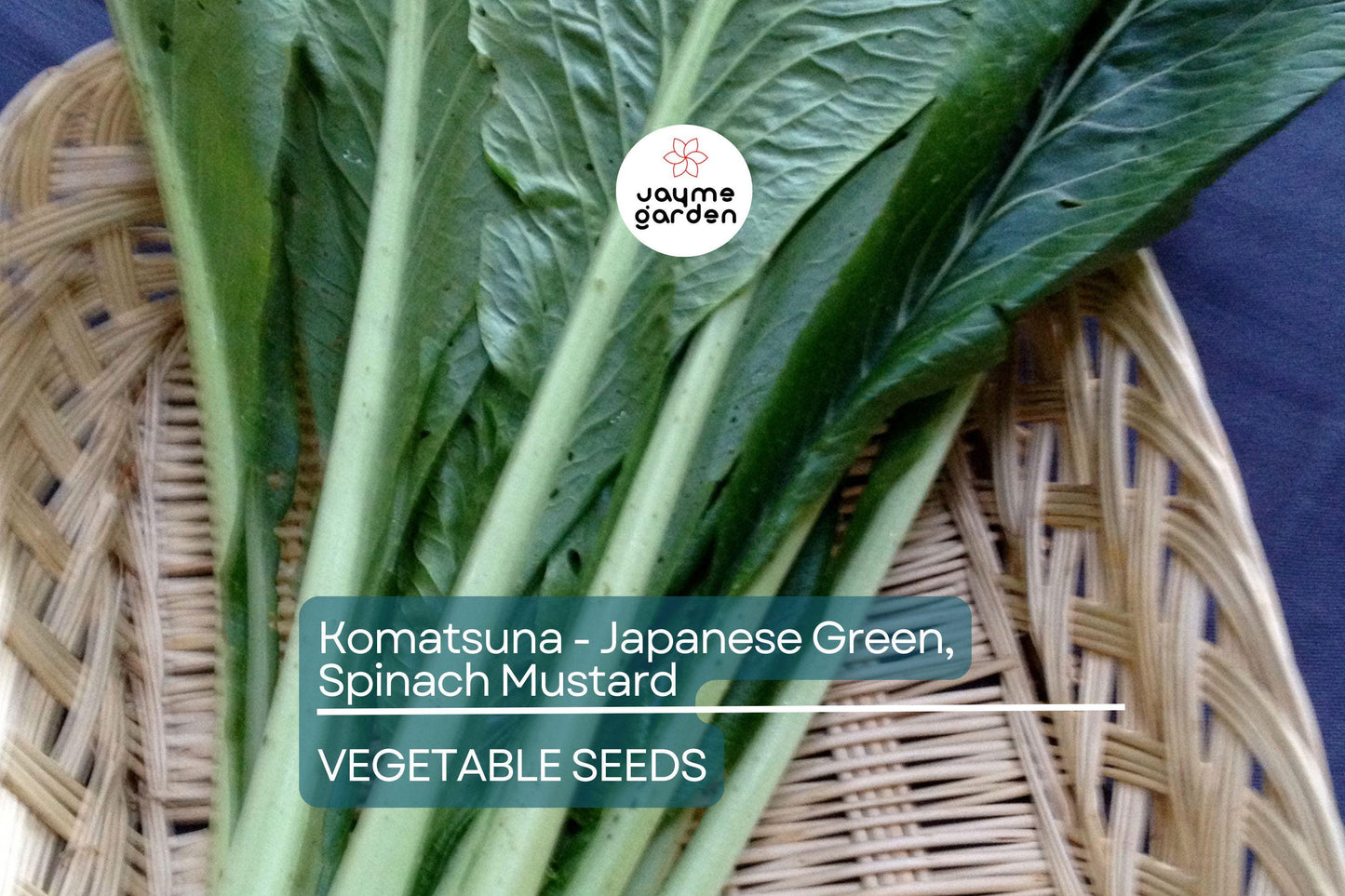 4000 Komatsuna Seeds – Japanese Green Spinach Mustard, NON-GMO, High in Vitamins A & C | Free Shipping