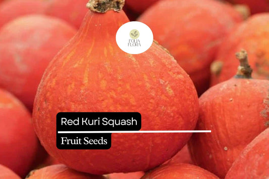 10 Seeds Red Kuri Squash (Cucurbita maxima) – Sweet & Nutty Winter Squash for Roasting and Baking