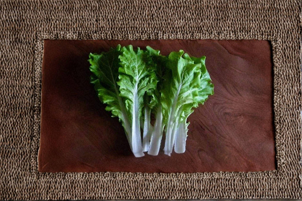 Frilly Leaf Pak Choi – Fun Jen (Hybrid) 180 Seeds | Decorative Asian Green | Frilly Leaves | Mild Flavor & Fast Growing