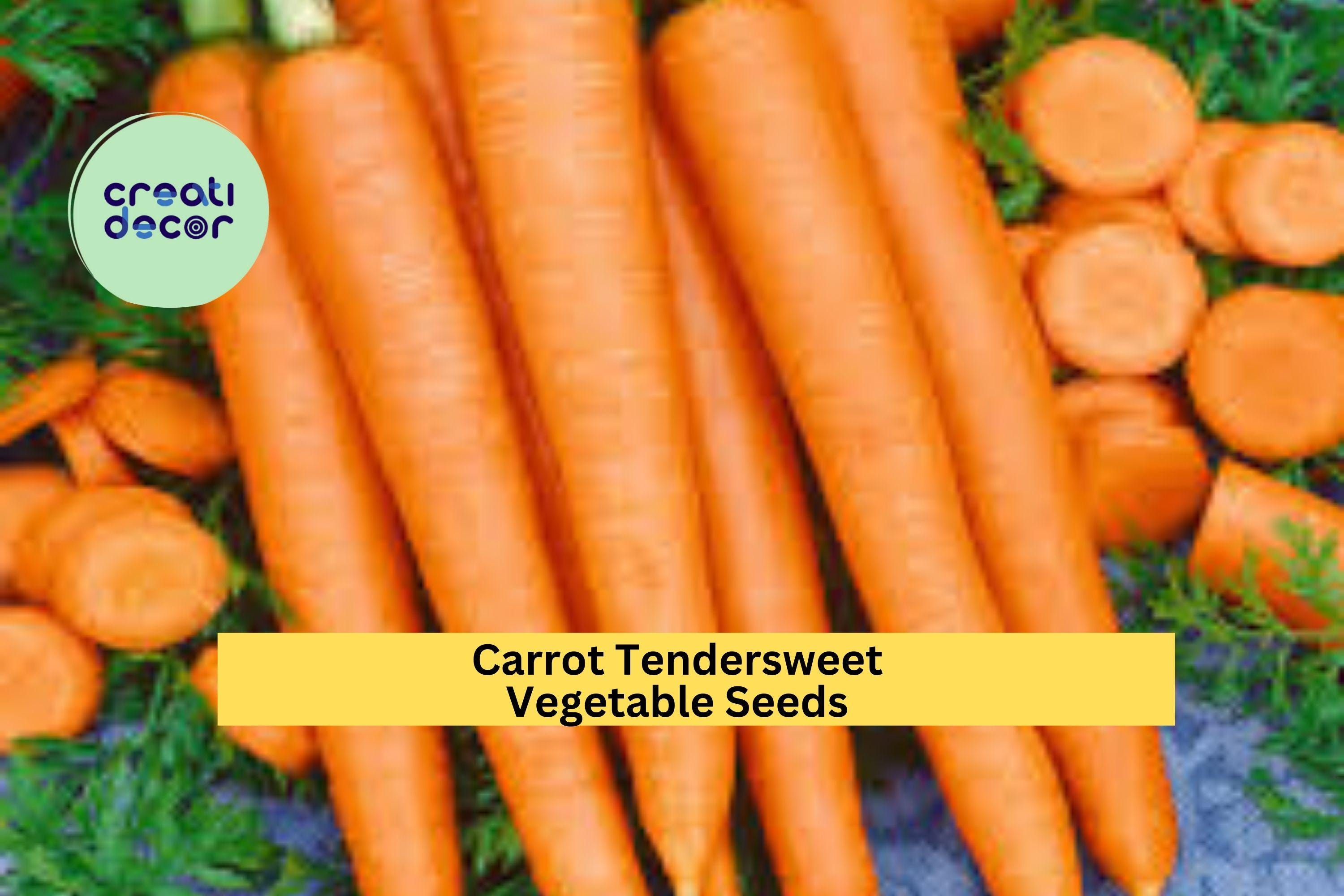 3pcs x 500mg Tendersweet Carrot Seeds – Sweet Orange Root Veggie for Garden Beds, Containers, or Raised Rows Seeds for Planting